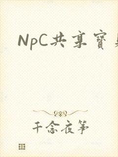 NpC共享宝贝