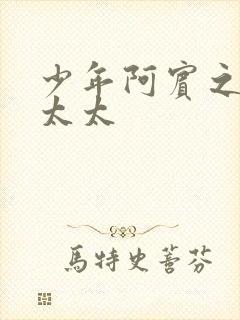 少年阿宾之房东太太