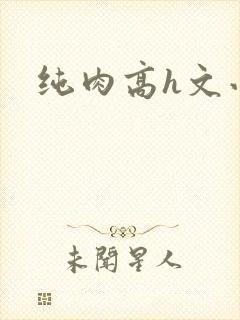 纯肉高h文小说
