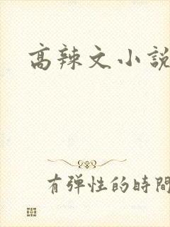 高辣文小说