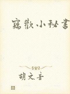 窃欢小秘书