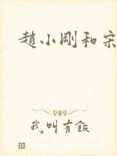 赵小刚和宋雨晴