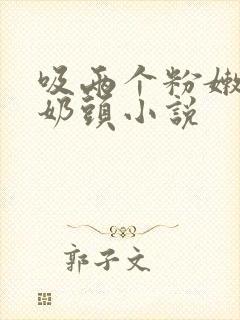 吸两个粉嫩的小奶头小说封面