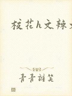 校花h文辣文封面