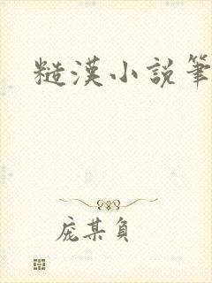 糙汉小说笔趣阁封面