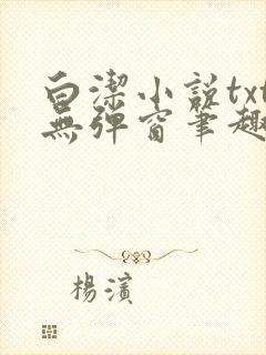 白洁小说txt无弹窗笔趣阁封面