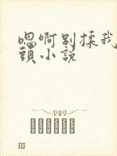 嗯啊别揉我的奶头小说