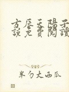 方辰天阳子的小说免费阅读