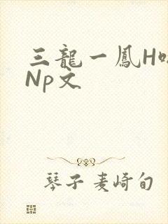 三龙一凤H啪肉Np文