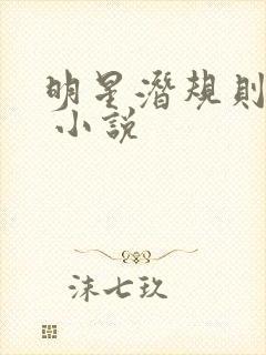 明星潜规则之皇 小说