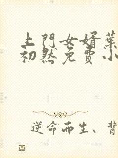 上门女婿叶辰萧初然免费小说