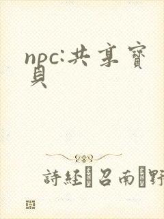 npc:共享宝贝
