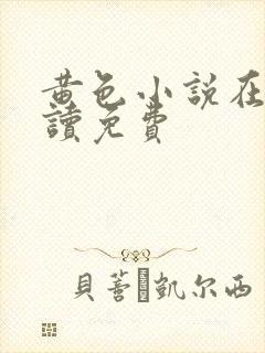 黄色小说在线阅读免费封面