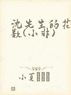 沈先生的花式调数(小非)封面