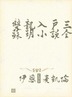 双龙入户三人行苏玥小说全文阅读封面