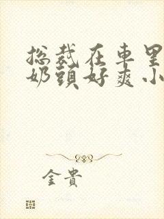 总裁在车里含我奶头好爽小说