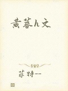 黄蓉h文封面