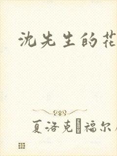 沈先生的花式调