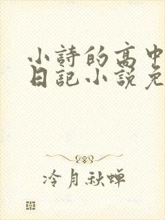 小诗的高中成长日记小说免费阅读