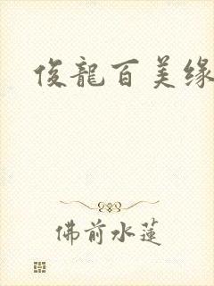 俊龙百美缘小说