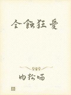 全蚀狂爱封面