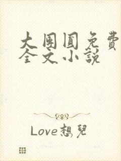 大团圆免费阅读全文小说封面