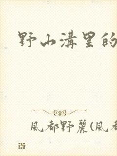 野山沟里的村庄