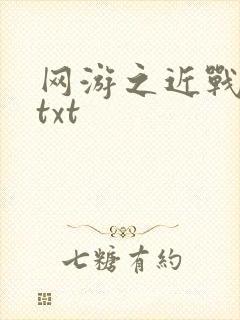 网游之近战法师txt封面