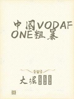 中国VODAFONE粗暴封面