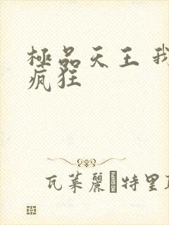 极品天王 我本疯狂