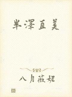 半泽直美封面