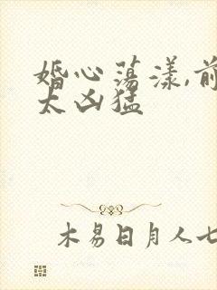 婚心荡漾,前夫太凶猛