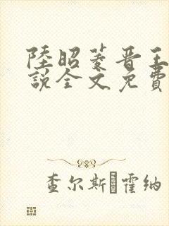 陆昭菱晋王的小说全文免费阅读