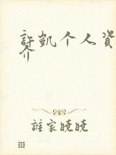 许凯个人资料简介