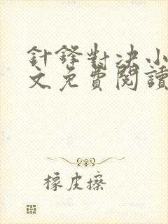 针锋对决小说全文免费阅读完整版封面