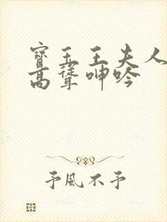 宝玉王夫人双乳高耸呻吟