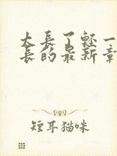 太长了轻一点局长的最新章节封面