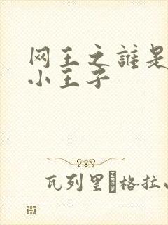 网王之谁是我的小王子