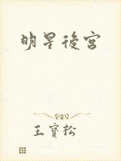 明星后宫