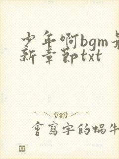 少年啊bgm最新章节txt