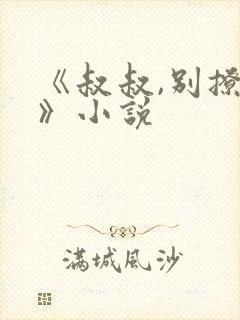 《叔叔,别撩我》小说