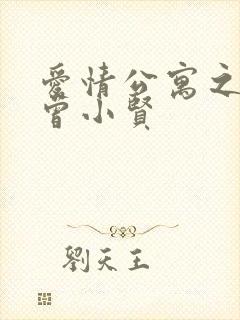 爱情公寓之极品曾小贤