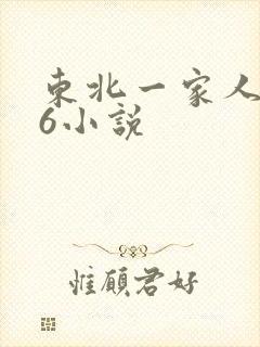 东北一家人1一6小说