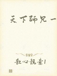 天下师兄一般黑封面