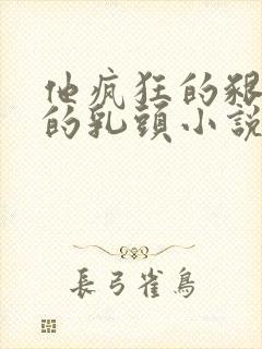 他疯狂的啃着她的乳头小说封面