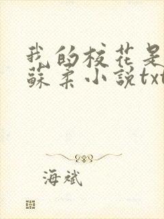 我的校花是福姬苏柔小说txt