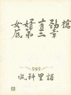 女婿有劲枪枪到底第三章