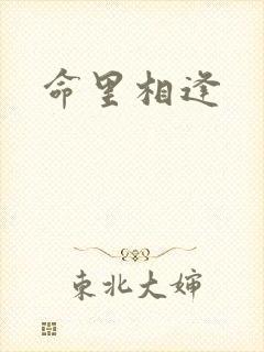 命里相逢