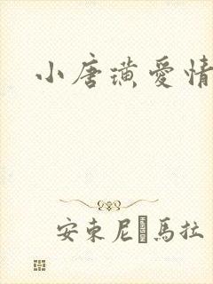 小唐璜爱情历史