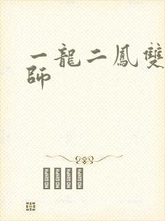 一龙二凤双飞老师封面